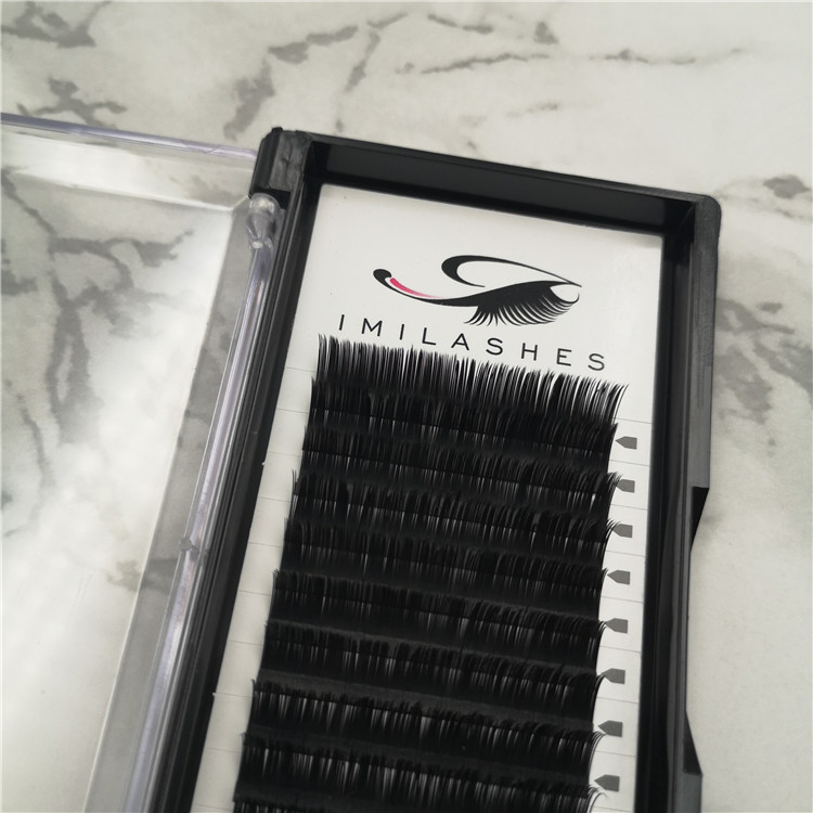 classic individual lashes.jpg